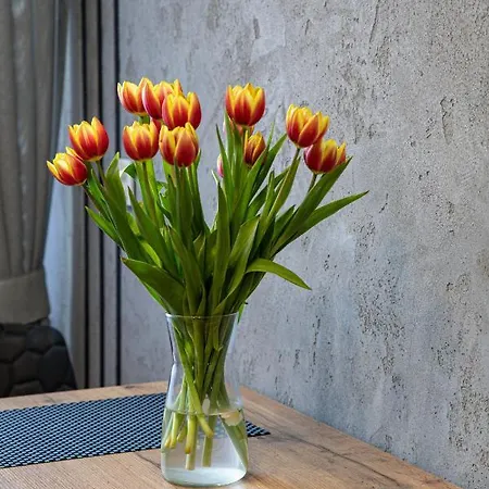 Dwudziestolecie Wadowice