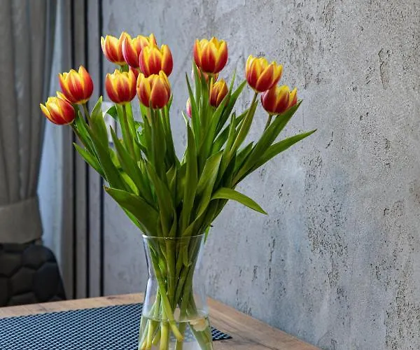 Dwudziestolecie Wadowice